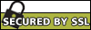 Secure Socket Layer (128 bit Encryption), to keep your sensitive information private